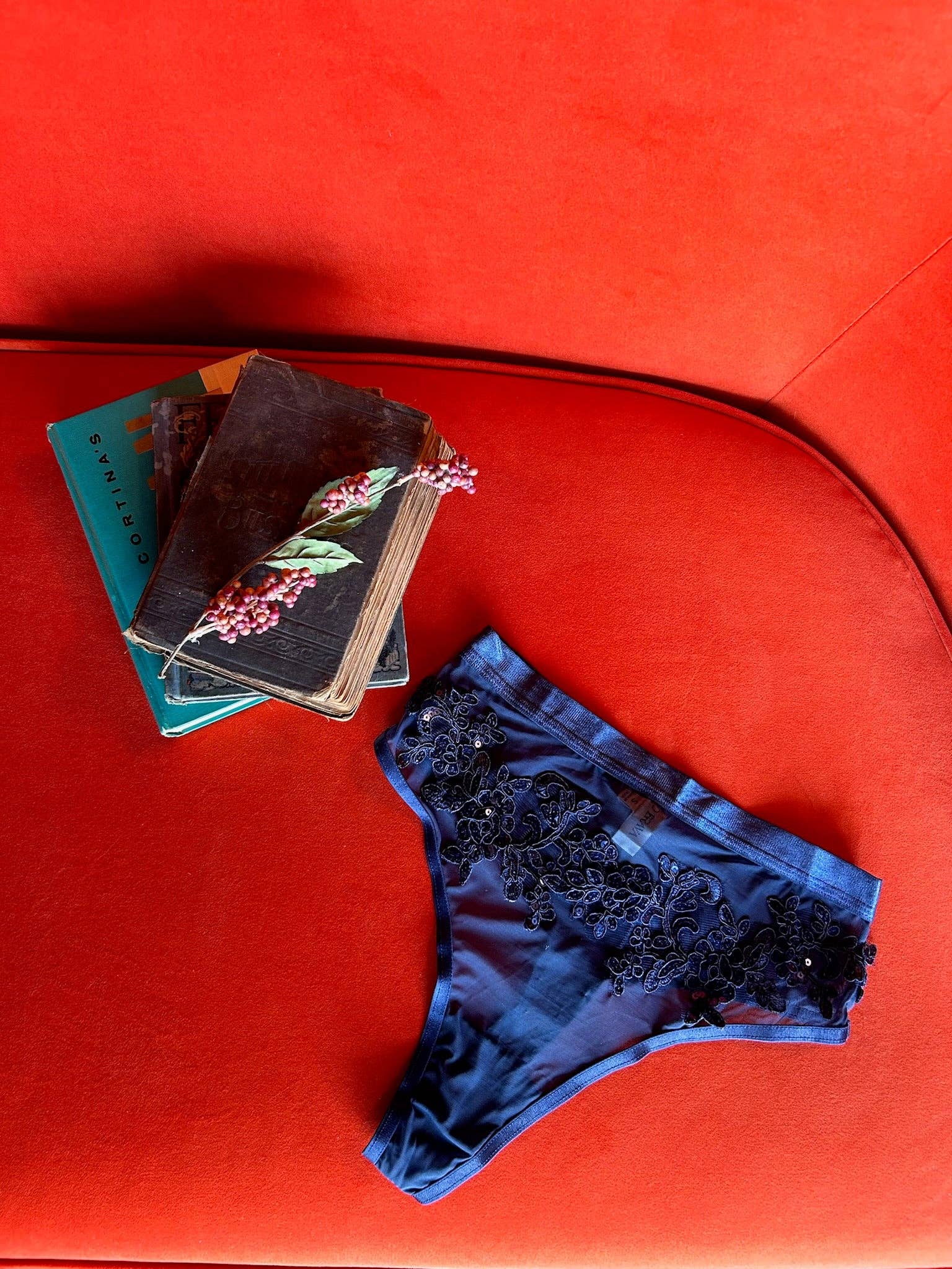 Kilo Brava - Wholesale Underwear - Women's - APPLIQUE MESH HIGH WAIST THONG6