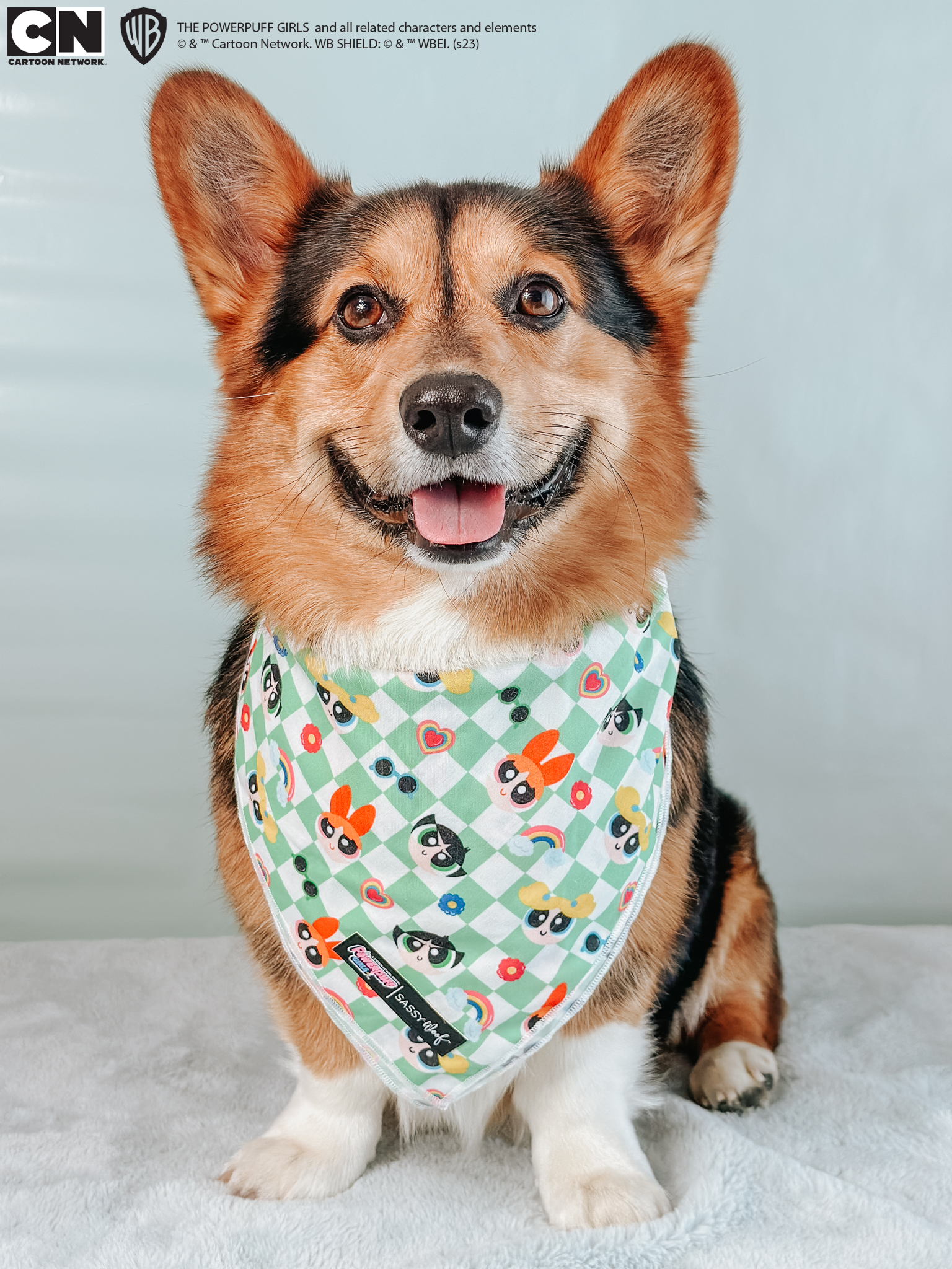 SASSY WOOF - Wholesale Pet Bandana - Dog - Dog Bandana - The Powerpuff Girls™ (Green)12
