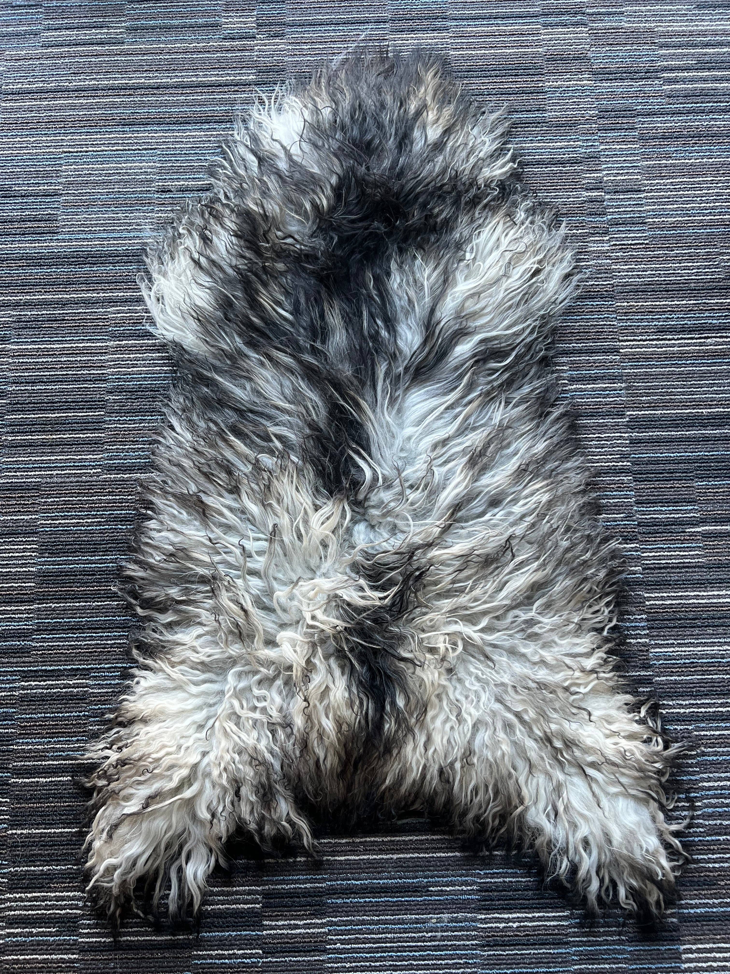 WeeSkins Holland – Engroshandel Løst tæppe – Islandsk lammeskind, stilfuldt og krøllet8