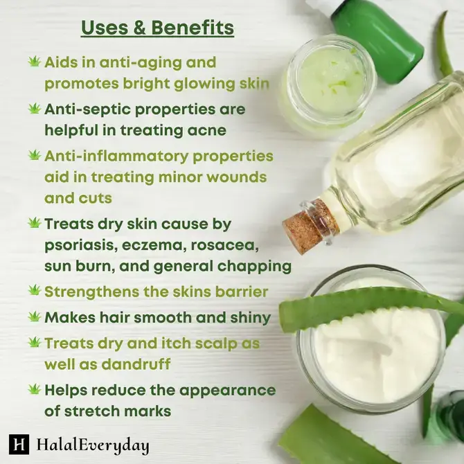 HalalEveryDay - Vente Baume/beurre pour le corps - Beurre d'aloe vera3