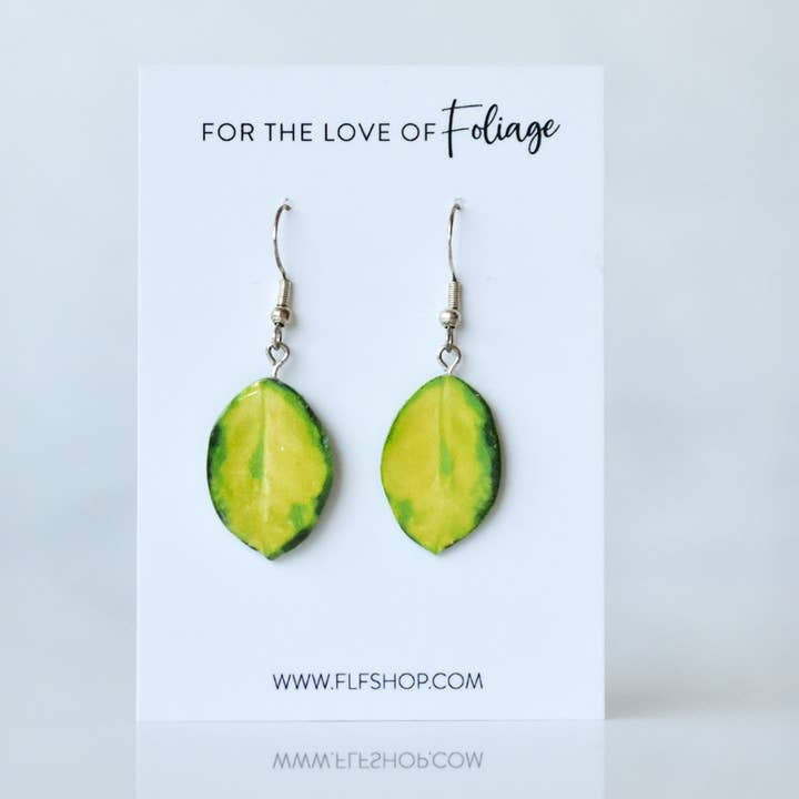 Hoya Australis Variegated “Lisa” Plant Earrings | Leaf Earrings for wholesale by For the Love of Foliage