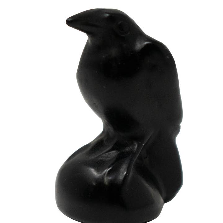 cuervo de obsidiana para venta al por mayor de Oreamnos Oddities