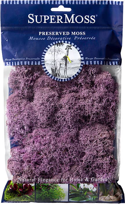 SuperMoss – Großhandel Pflanzen – SuperMoss Rentiermoos konserviert, 57 g Beutel17