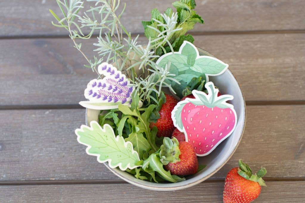 ToyBoxTown – Großhandel Pflanzensamen – Samenpapier zum Anpflanzen von Rucola, 10 Stück8