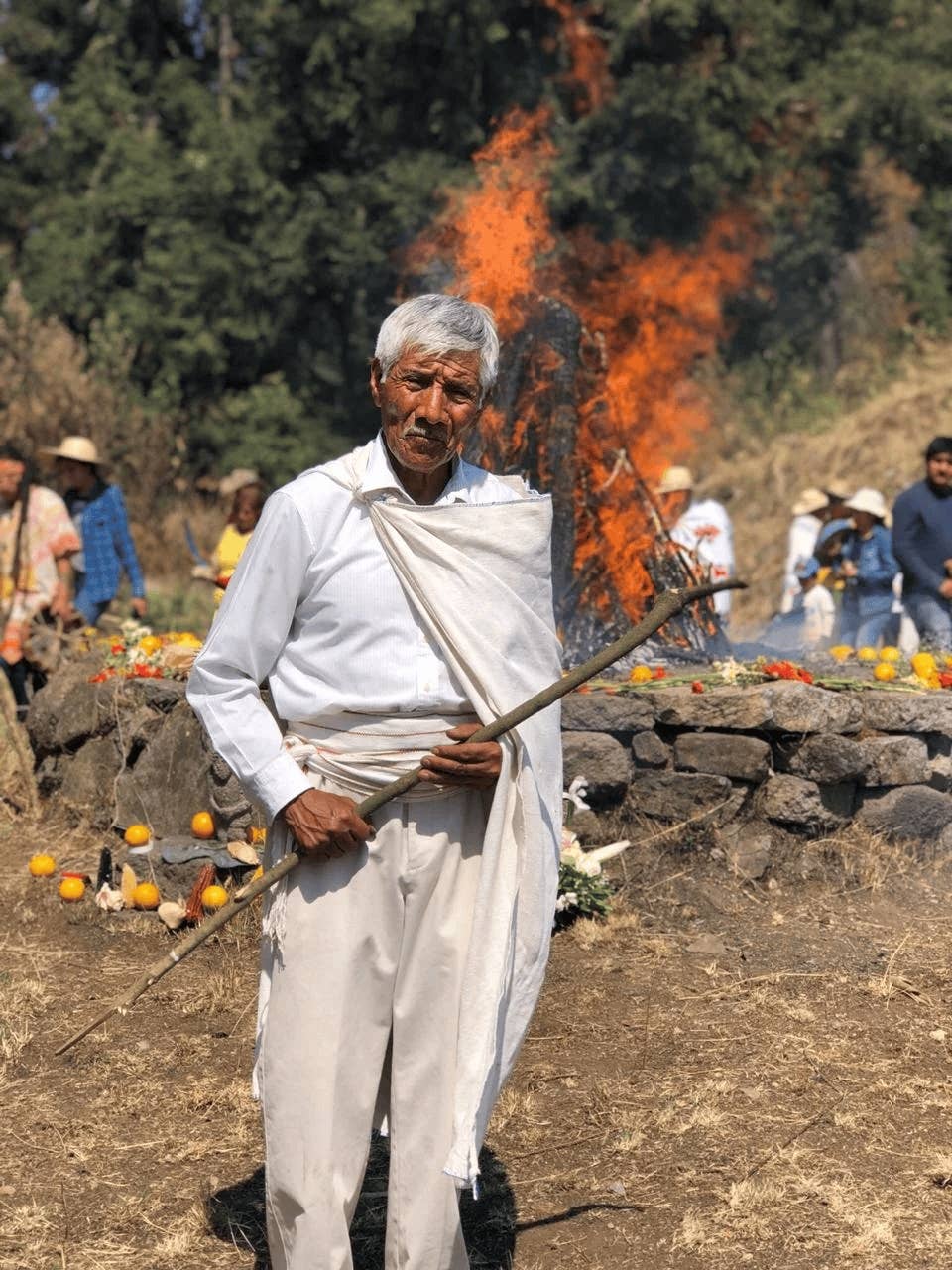 Teomati Sacred Copal - Wholesale Incense - Teomati Sacred Copal Incense Pack7