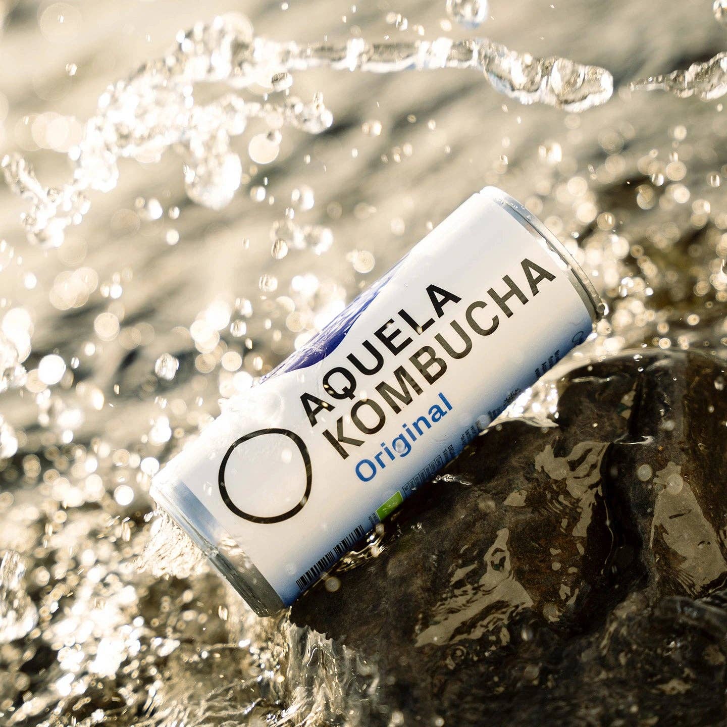 Geocakes - Wholesale Kombucha - That Organic Original Kombucha - 250ml Can1