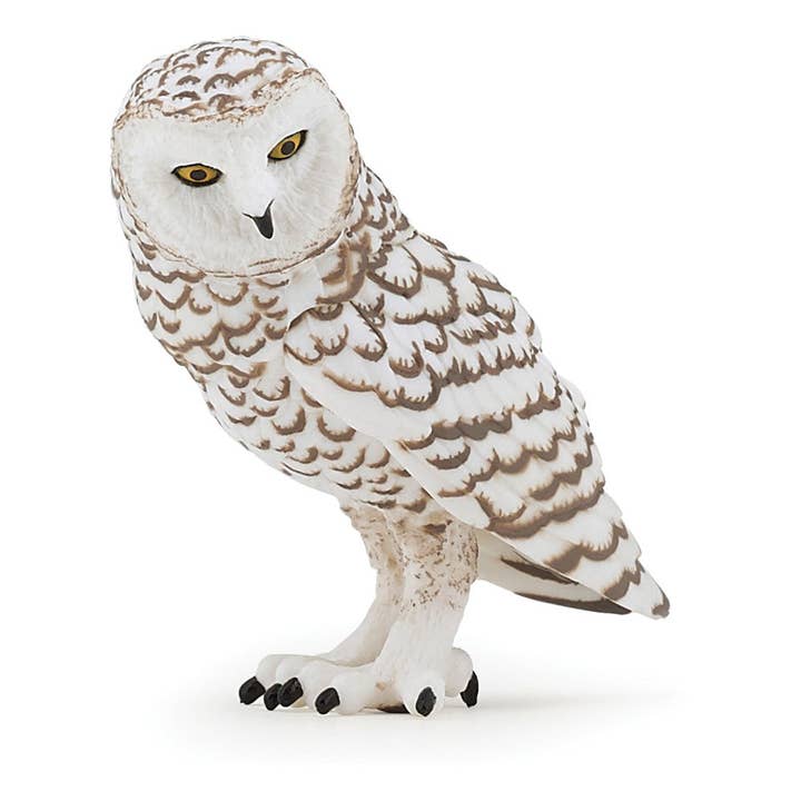 Meroncourt Europe Ltd – wholesale Figurine toy – Kids – PAPO Wild Animal Kingdom Snowy Owl Toy Figure, Three Years o