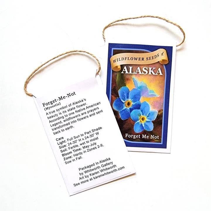 Whitworth Gallery - Wholesale Plant Seeds - Alaskan Forget Me Not Wildflower Seed Packets2