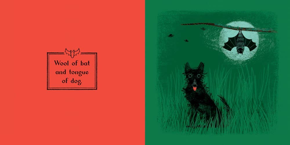 Gibbs Smith - Wholesale Baby & Toddler Book (0-2) - Macbeth5