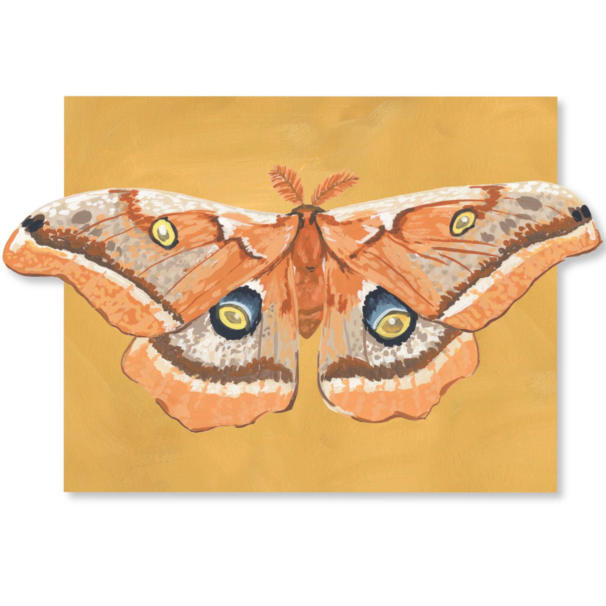 1canoe2 | One Canoe Two Paper Co. - Wholesale Stationery/Notecard Set - Luna Moths Fold-Out Greeting Card Box Set3