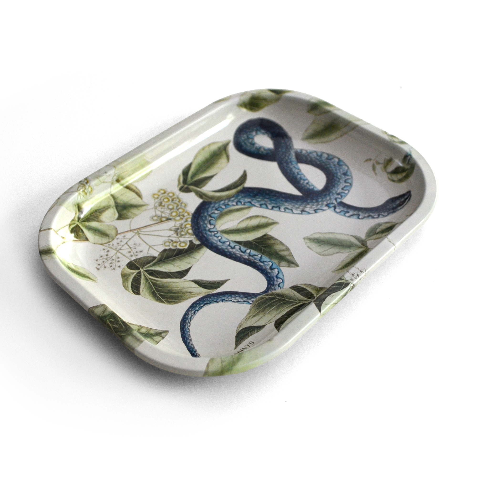 Curious Prints - Wholesale Jewelry Dish - Small Metal Vintage Blue Snake Trinket Tray1