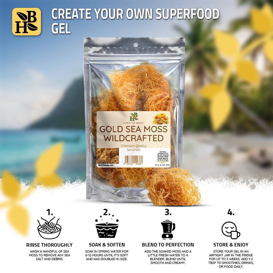 Herb To Body - Wholesale Herbs - Gold Sea Moss (Dry) -  Wildcrafted From Caribbean 4oz3