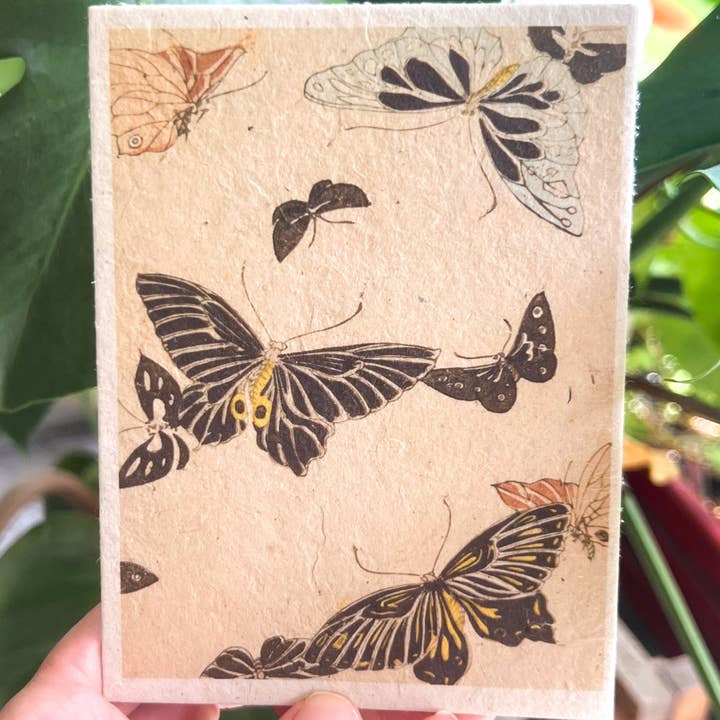 Plantable Seed Card || Zero Waste || Supports Women J48 for wholesale by Marissa Kay Co