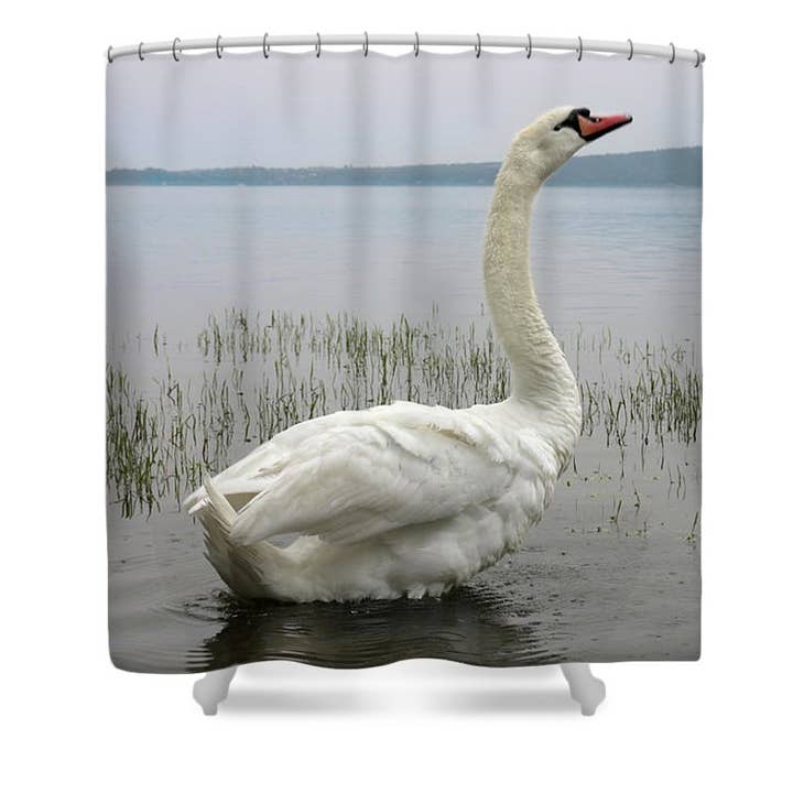 SVANENS AFSLAPNING BADEFORHÆNG for engroshandel hos sorayadapuzzostore