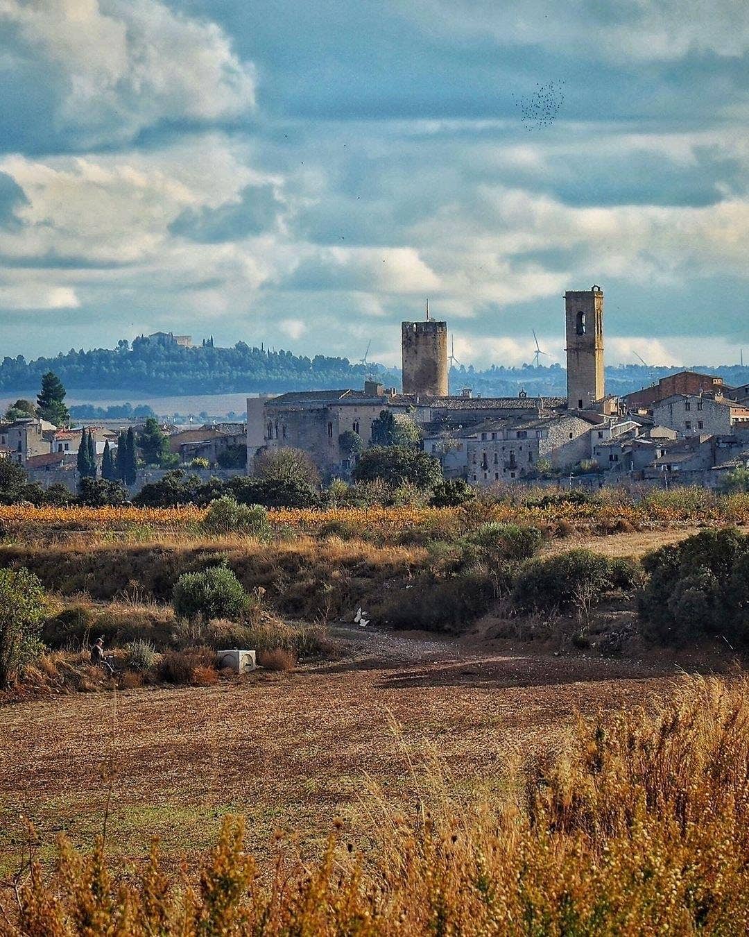 Cerámica Roca Caus – wholesale Coffee mug – Espresso and cappuccino.4
