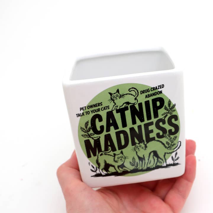 Lenny Mud - Wholesale Plant Pot - Catnip Madness Cat planter, small indoor planter2