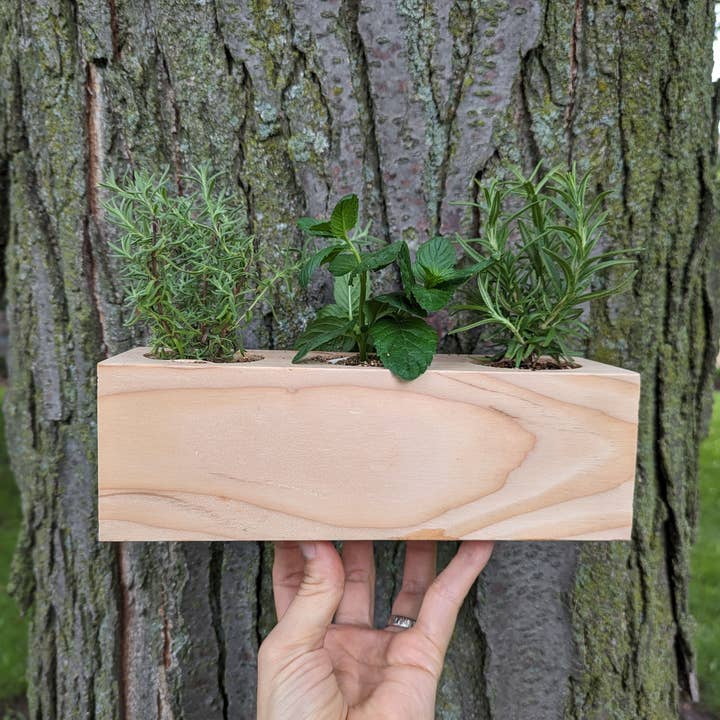 Sprigbox - Wholesale DIY Craft Kit - Cocktail Mixers Starter Kit | Grow Lavender, Mint, Rosemary7