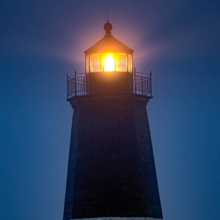 Blue Judith for wholesale by Erica Joy Photography