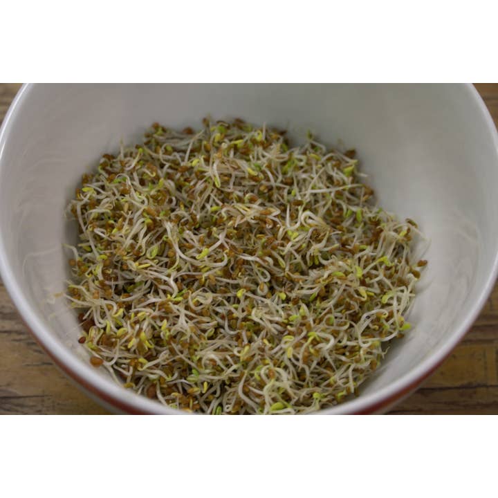 Sow True Seed - Wholesale Plant Seeds - Sprouting Seed - Alfalfa, ORGANIC3