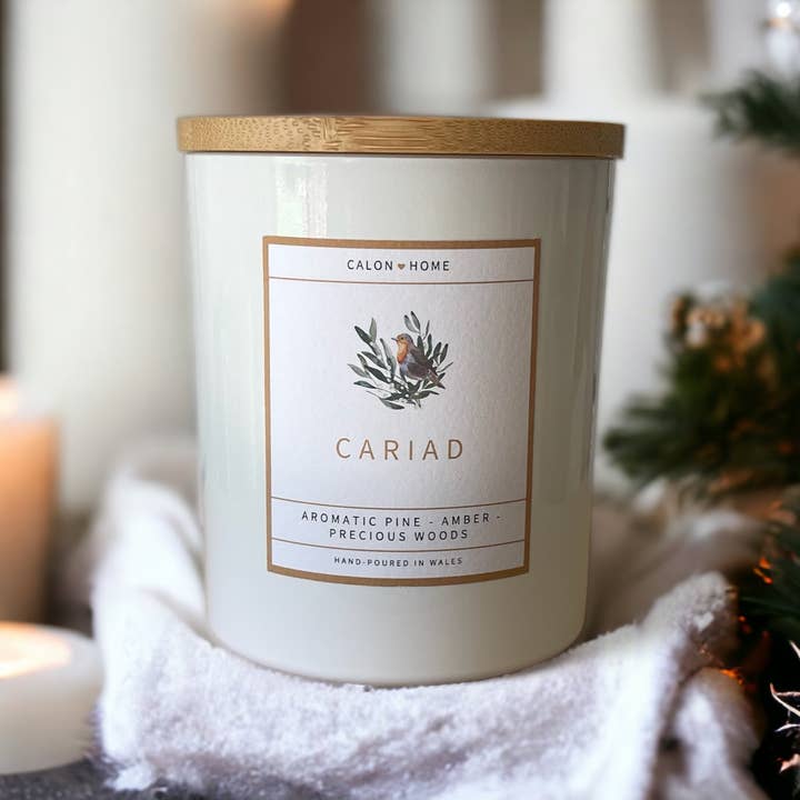 Cariad Candle | Christmas Robin & Mistletoe design | Welsh for wholesale by Calon Home