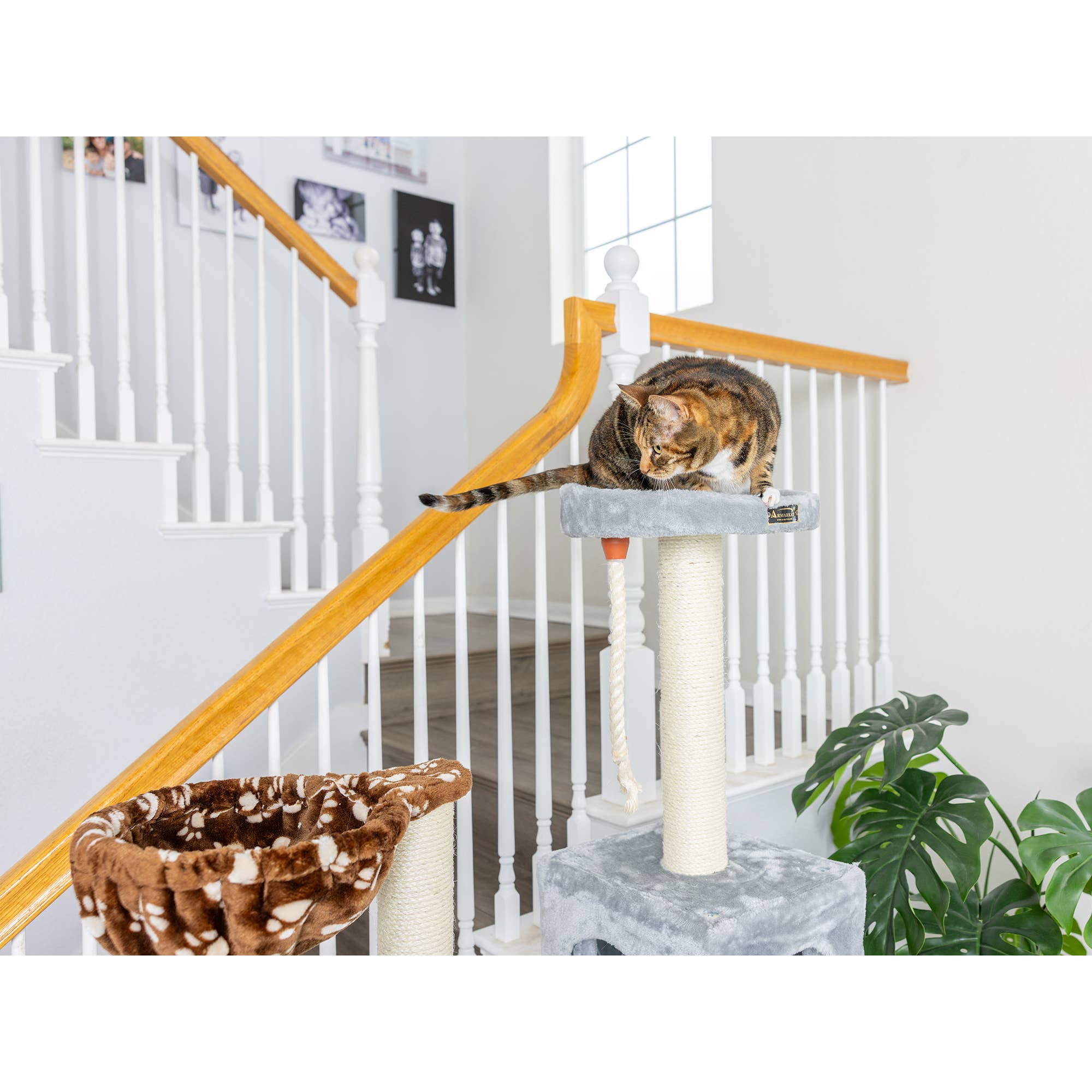 Armarkat - Wholesale Pet Scratcher - Cat - Real Wood Cat Climber Play House With Playhouse, Basket10
