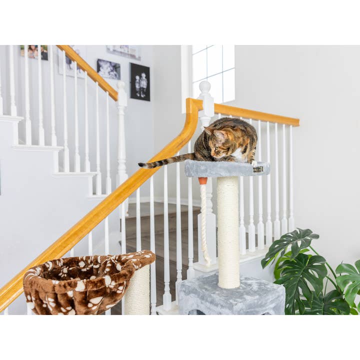 Armarkat - Vente Griffoir – chat - Maison de jeu grimpante en bois véritable pour chat avec cabane, panier10