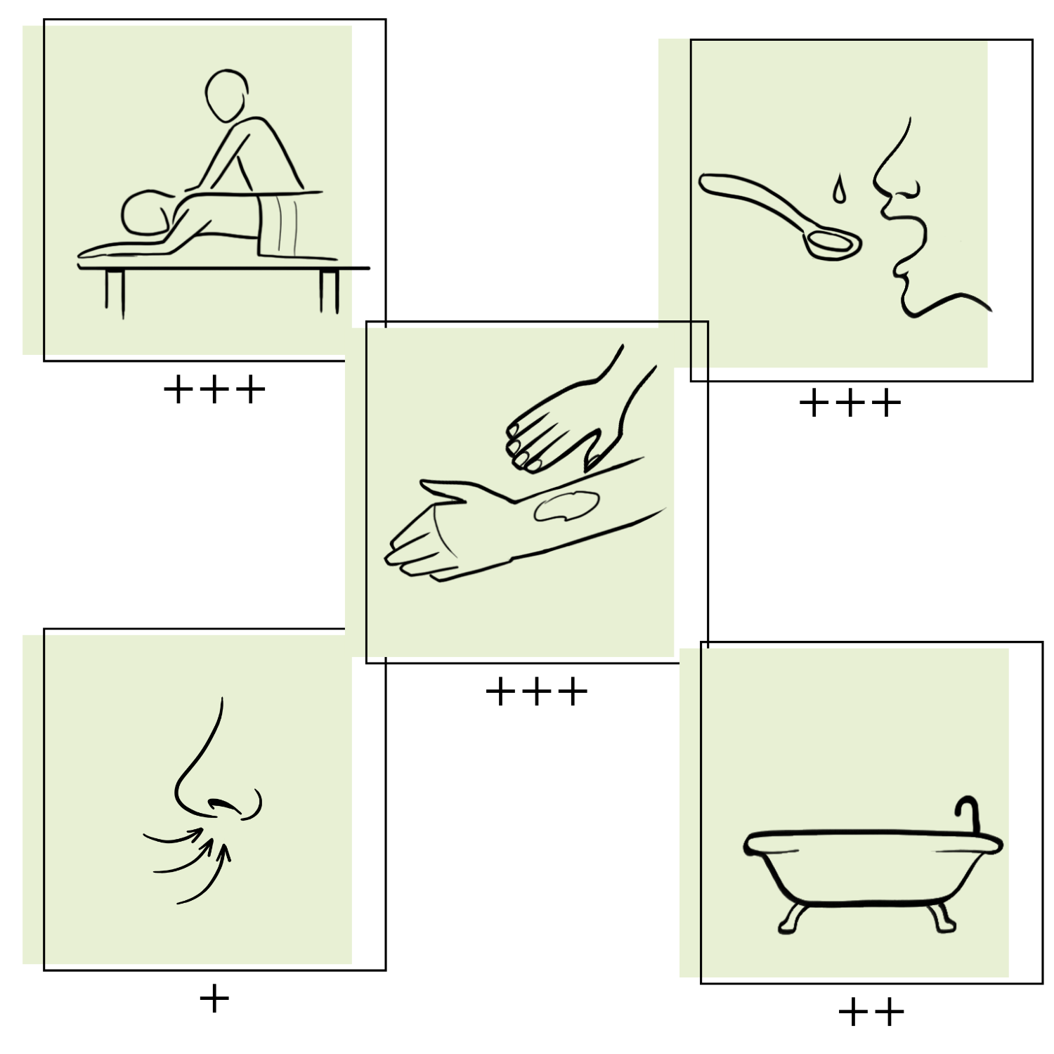 Essences Naturelles Corses - Wholesale Essential Oil - Organic pistachio lentiscous - Essential oil - Aromatherapy3