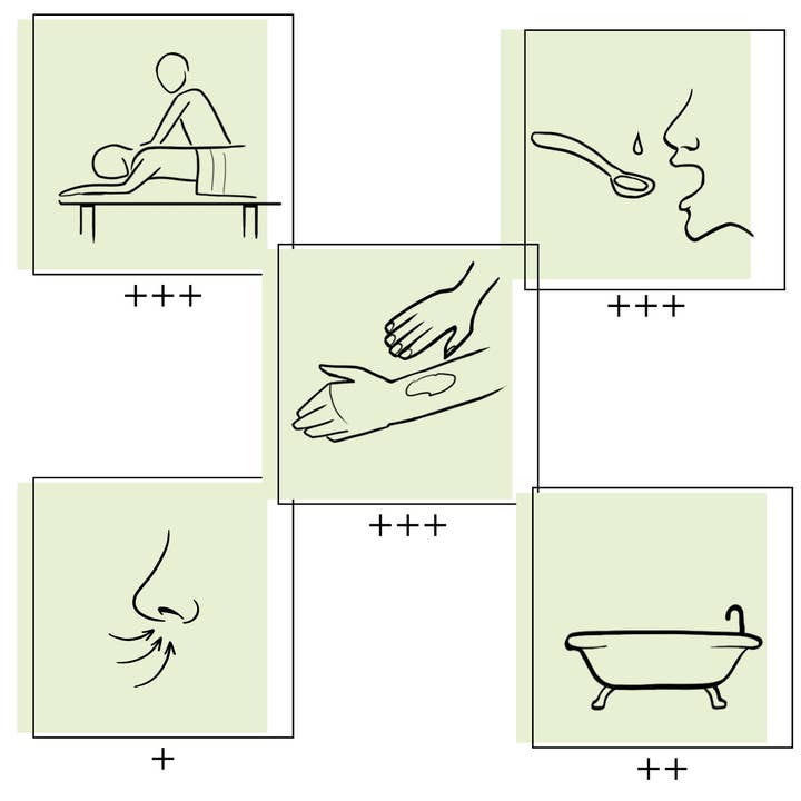 Essences Naturelles Corses - Vente Huile essentielle - Lentisque pistachier bio - Huile essentielle - Aromathérapie3