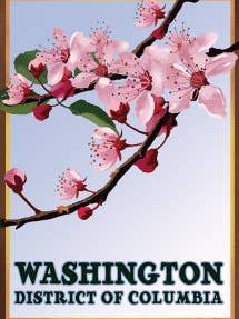 Washington DC Blossoms Luggage Tag for wholesale by Linnea Design
