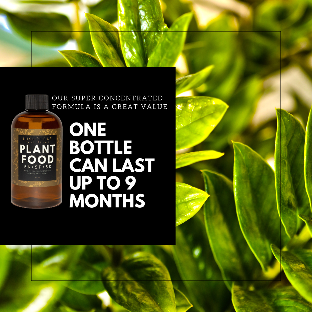 Lush Leaf - Wholesale Fertilizer - Lush Leaf Plant Food6