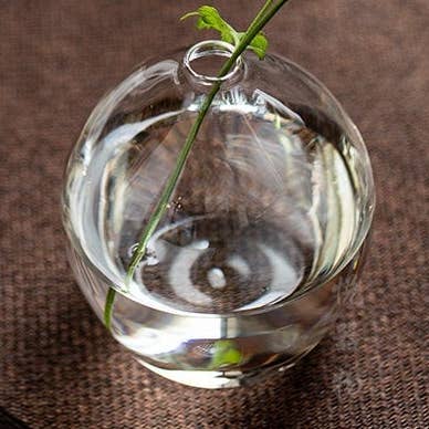 Mini vasi in vetro Gohobi, tè gongfu cinese, tè Kung fu, Giappone per la vendita all'ingrosso da parte di Gohobi (We cover U.S. import duties)