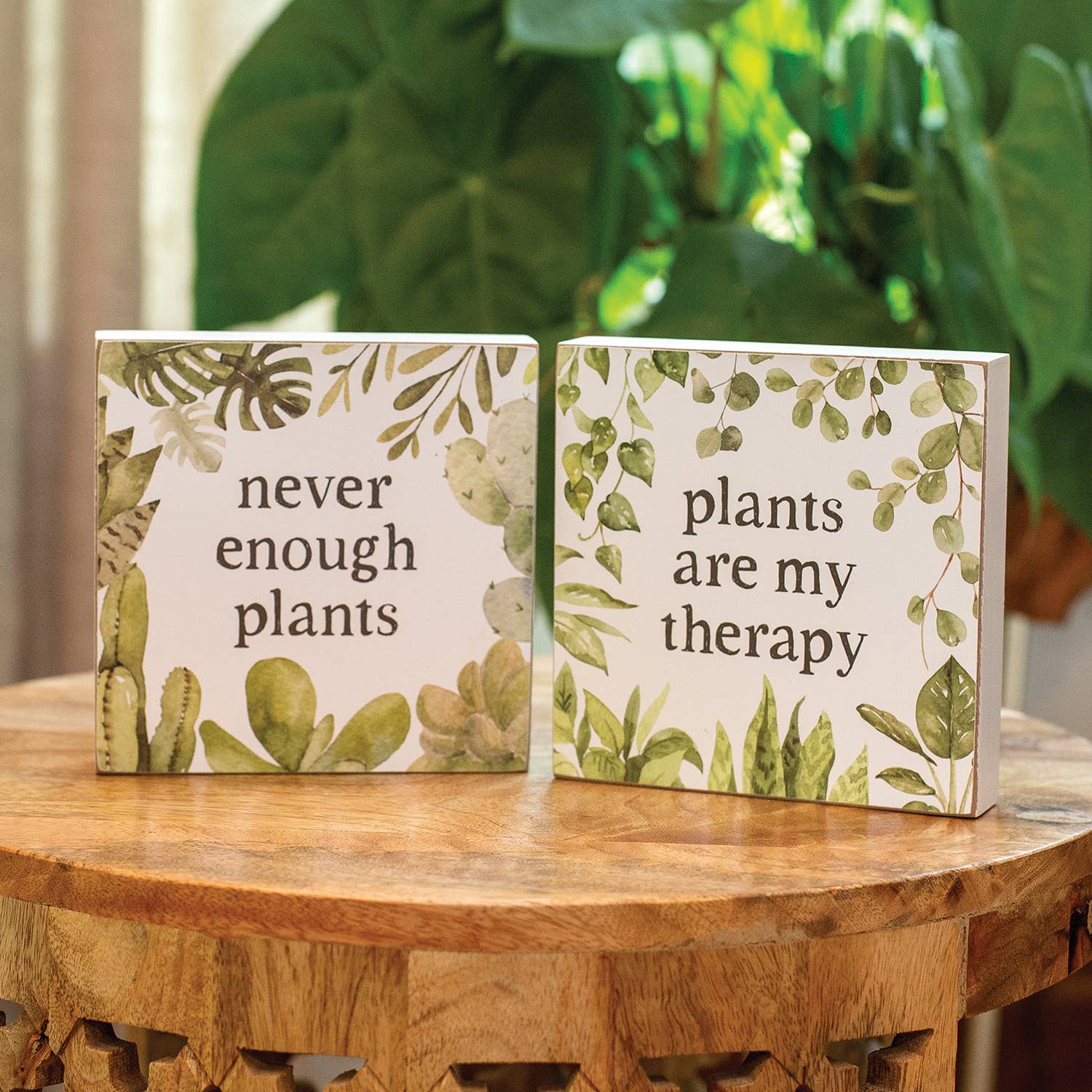 Col House Designs - Venta al por mayor Letreros - Cartel con forma de caja con las plantas son mi terapia, 2 colores surtidos1