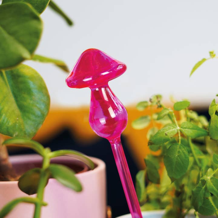Bubblegum Stuff UK - Wholesale Garden tool - Mushroom Micro-dousers Plant Waterers3