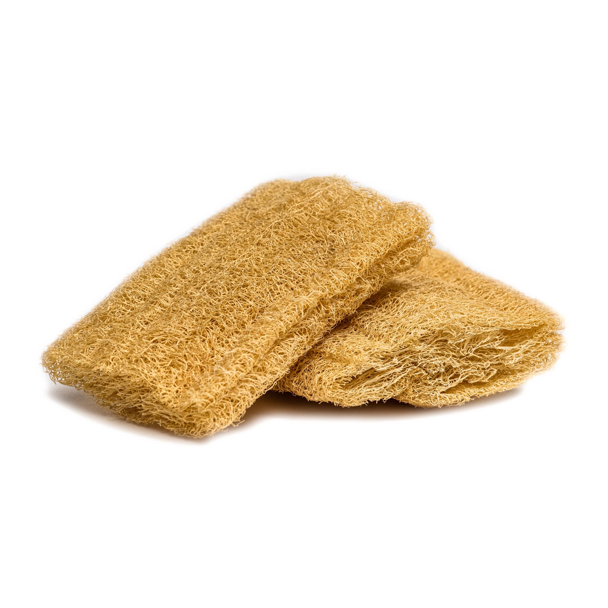 Appia Luffa - Wholesale Loofah - Premium Organic Egyptian Loofah Sponge Large with rope4