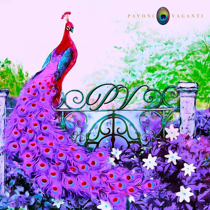 Påfugl Foulard Dyb Chic Lyserød for engroshandel hos Pavoni Vaganti