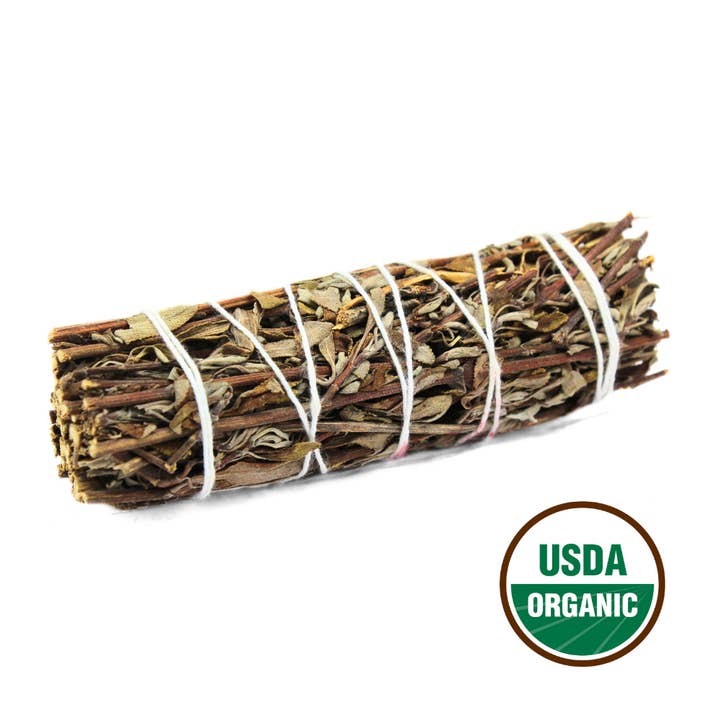 Green Tree - Wholesale Sage Bundle - Mountain Sage 10 Cm