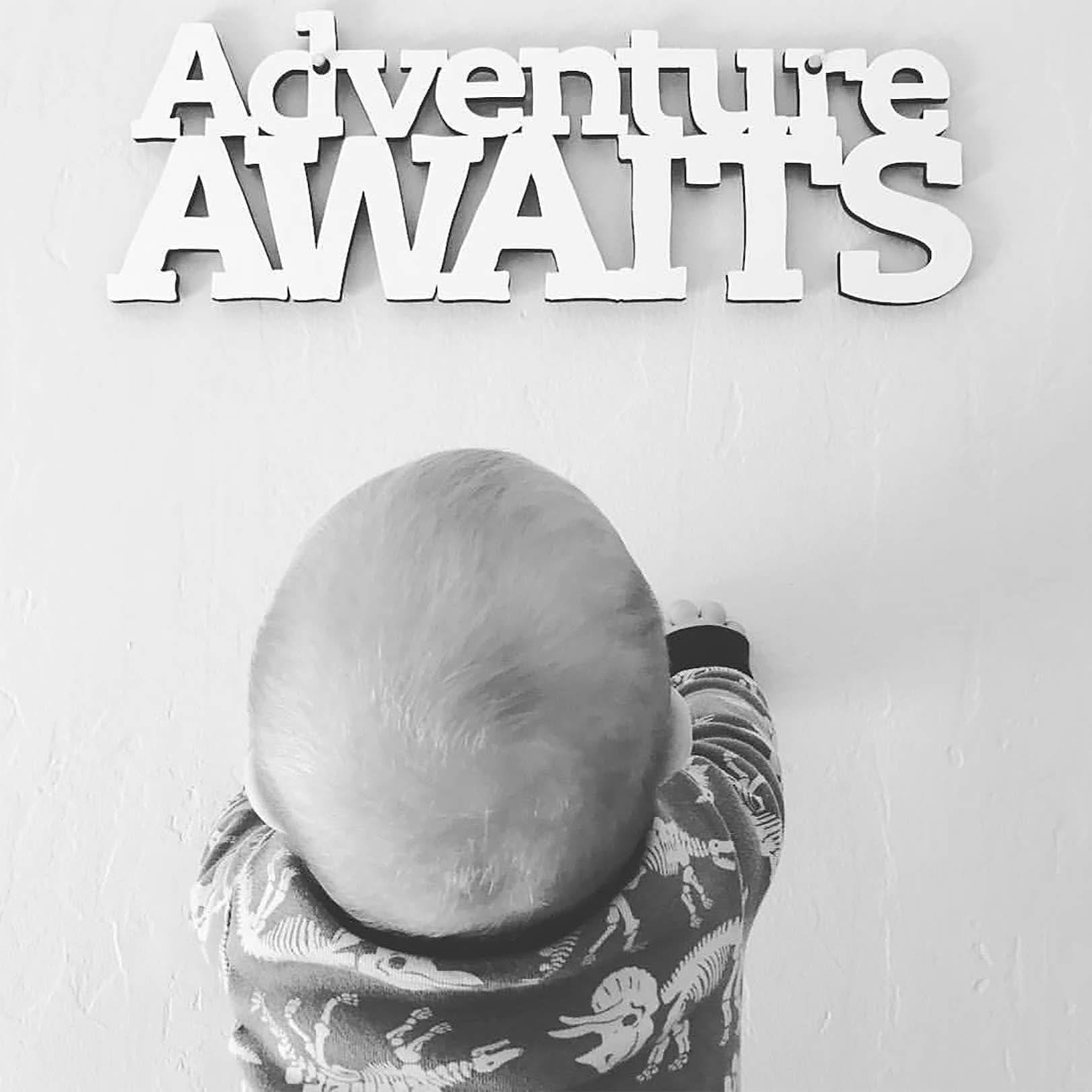 Spunky Fluff - Wholesale Wall Sign - Adventure Awaits Outdoor Lover Wall Art Sign13