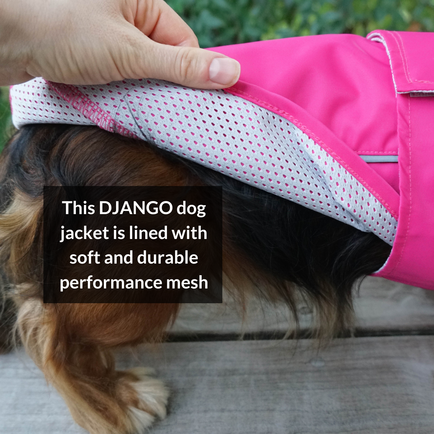 DJANGO - Wholesale Pet Raincoat - Dog - City Slicker Dog Jacket & Raincoat - Cerise Pink7