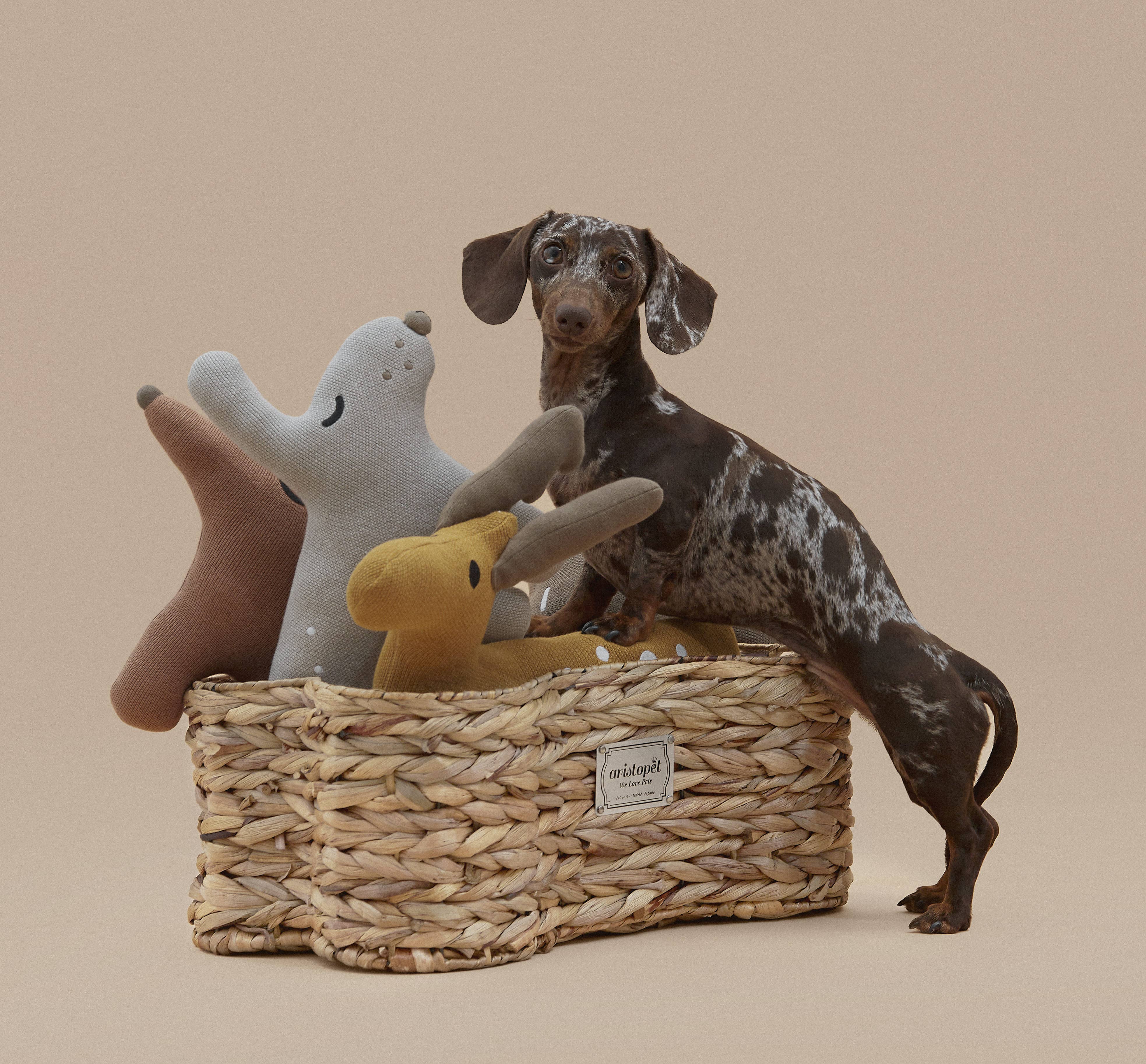 ARISTOPET - Vendita all'ingrosso Portagiocattoli per animali - Cesta porta giocattoli per animali a forma di osso4