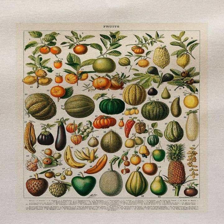 Fruit Botanical Vintage bedrukte stoffen paneel voor wholesale door Hills Of Fabric
