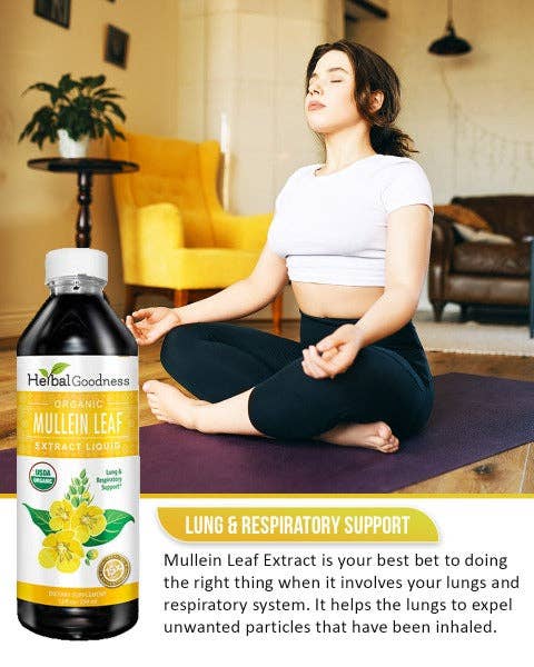 Herbal Goodness - Wholesale Loose Tea - Mullein Leaf Extract - Organic - Liquid 12oz - Lung & Respiratory Support - Herbal Goodness5