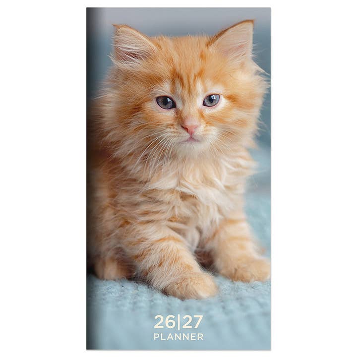TF Publishing - Paper Goods – wholesale Planner – 2026-2027 Kitten Small Monthly Pocket Planner9
