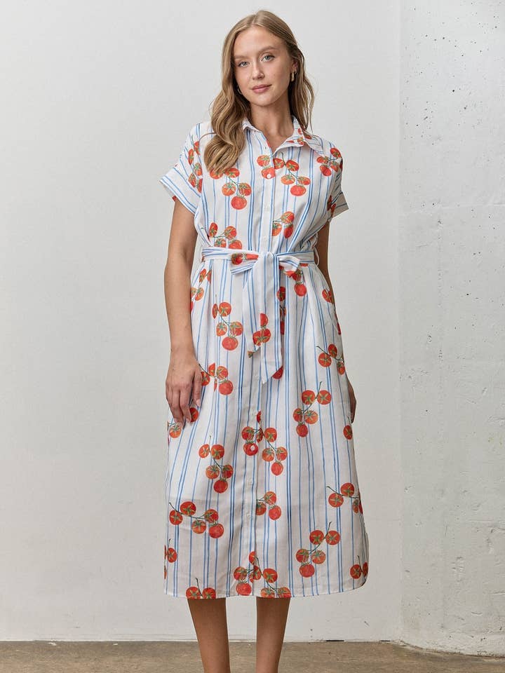 (PLUS) ROBE MIDI CHEMISE À IMPRIMÉ RAYÉ TOMATE pour la vente par Polagram by Wellmade USA