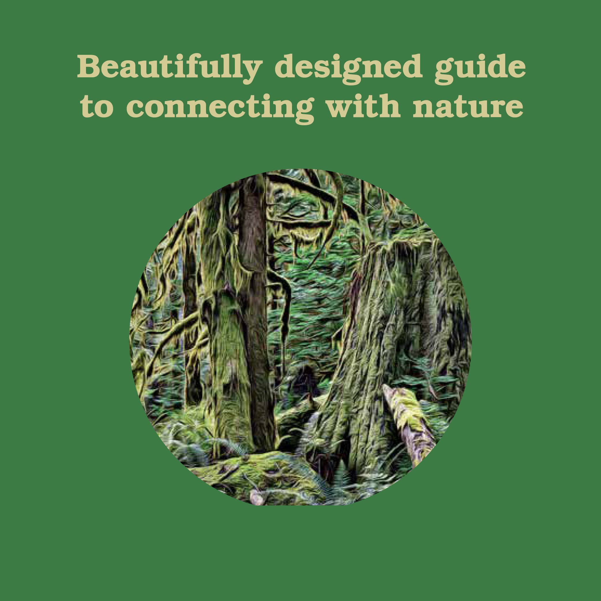 Chronicle Books - Wholesale Nature & Outdoors - Forest School for Grown-Ups1