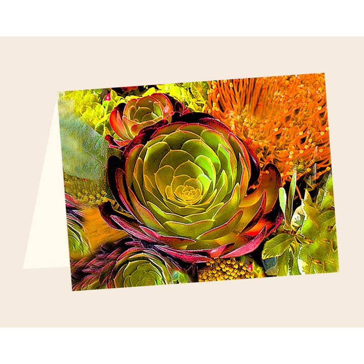 Succulent ENCL no.4 for wholesale by Line Five Studio