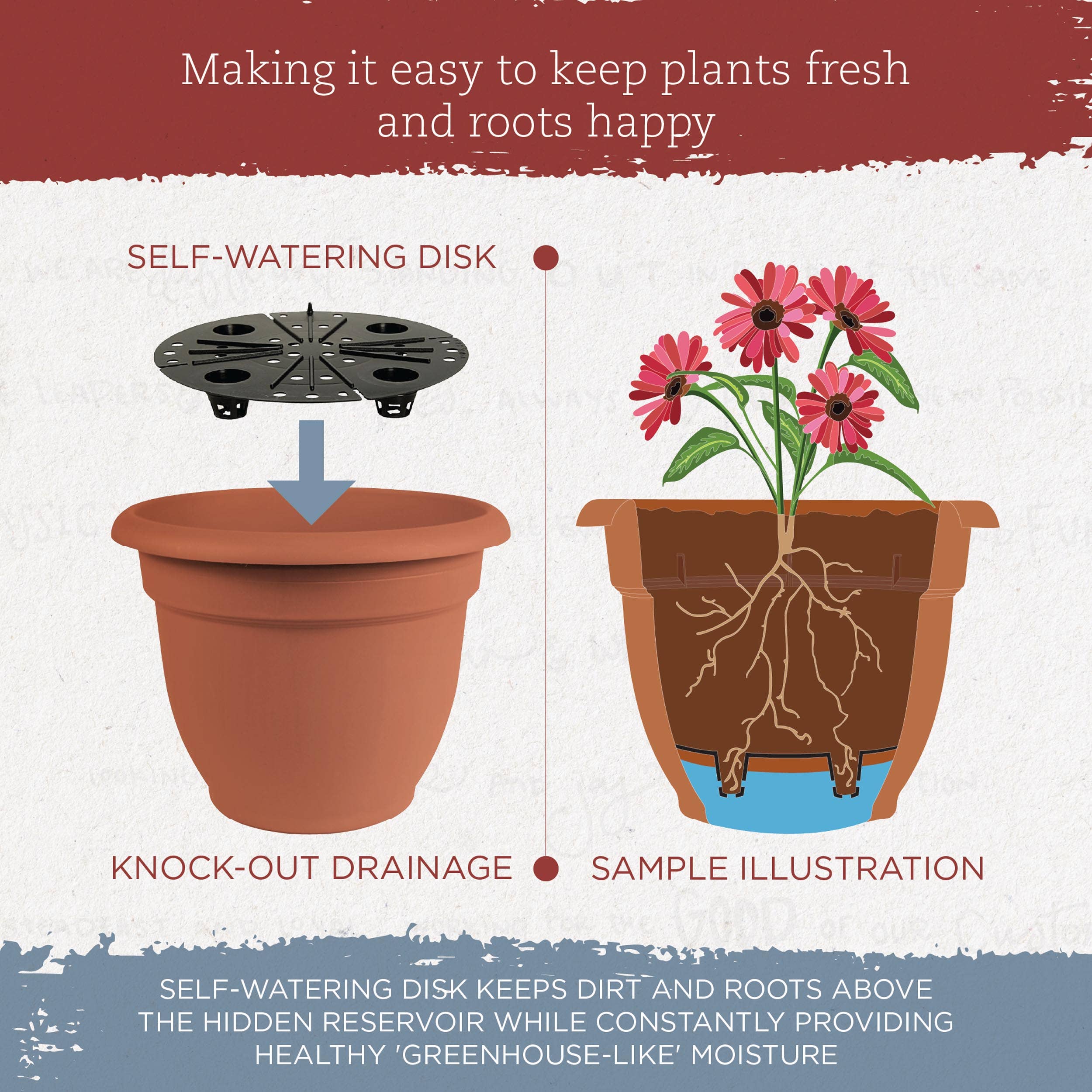 Bloem - Wholesale Plant Pot - Ariana Self-Watering Plastic Planter - Small to Medium Sizes4