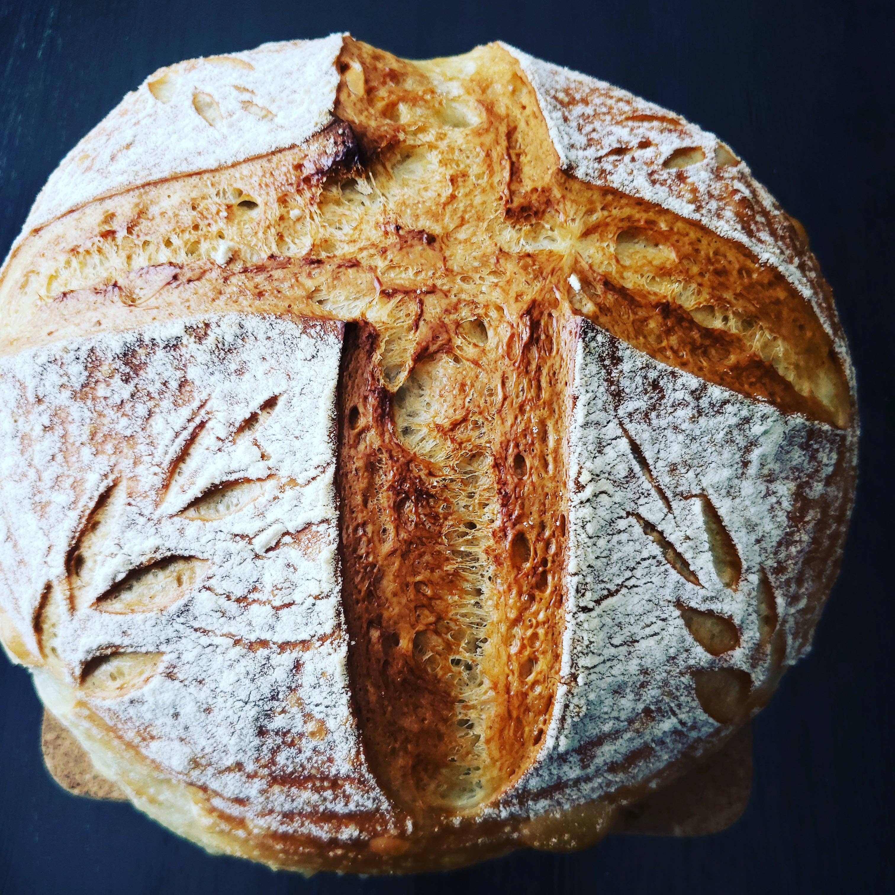 Summit Sourdough - Wholesale Bread Mix - 130 Year Old Summit Sourdough Starter Kit11