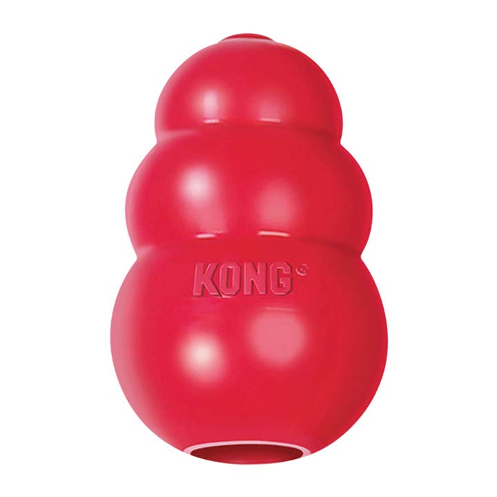 Pet Palette Distribution - Wholesale Pet Chew Toy - Dog - KONG® Classic Dog Chew Toy XXL