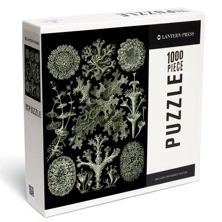 1000 PIECE PUZZLE Art Forms of Nature Lichenes Ernst Haeckel for wholesale by Lantern Press