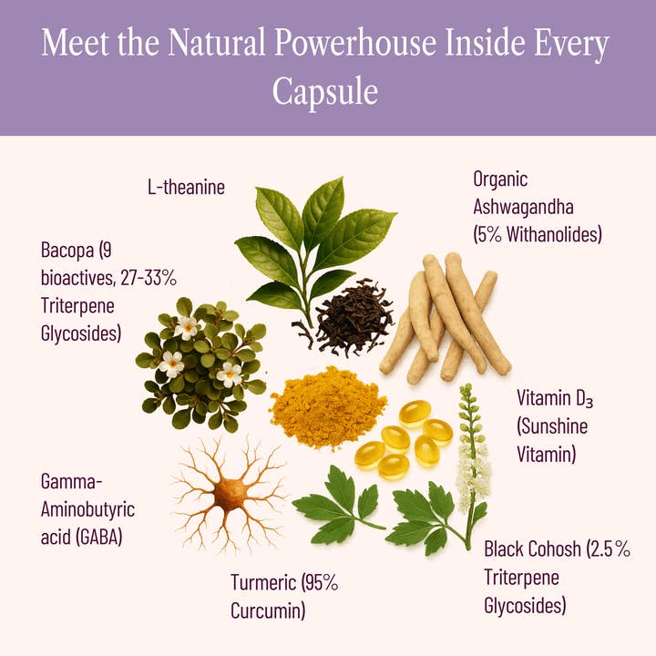 SEASON34 - Wholesale Oral Supplement/Vitamin - Menopause Mood & Neuro Support – Brain Fog & Memory4